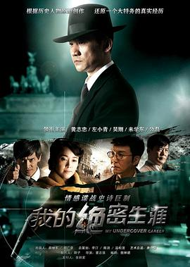 我的绝密生涯 (2014)